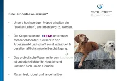 bactocare probiotisches Waschmittel + Hundedecke